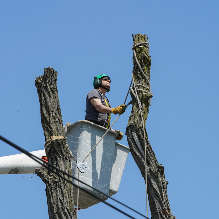 Working by power lines