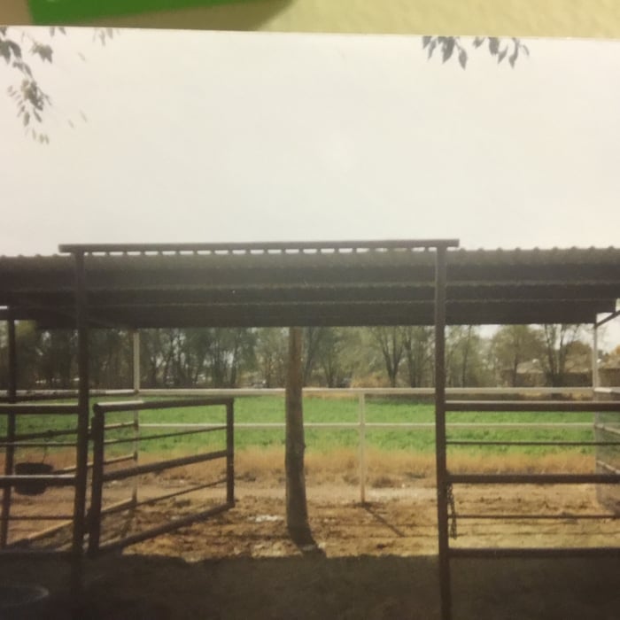 Horse pen with pro panel roof