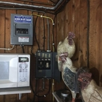 SERVICE RELOCATION