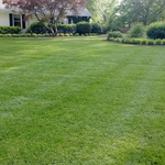 Large Front Yard