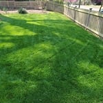 Small Lawn