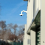 360 Degree Fisheye Camera