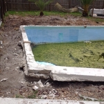 Ritzcraft Pools and Paver