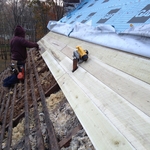 New Poplar