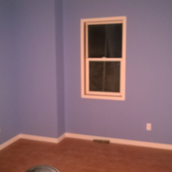 downstairs bedroom