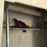 Office closet