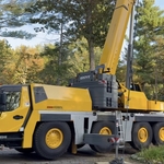 Crane Removal