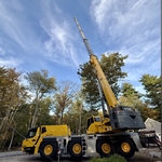 Crane Removal
