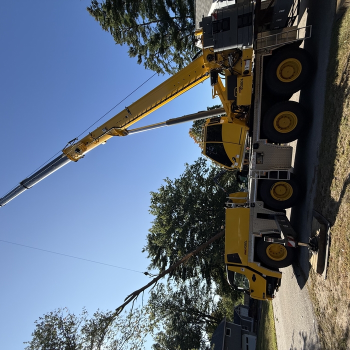 Crane Removal