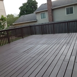 Backyard Remodel