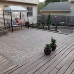 Backyard Remodel