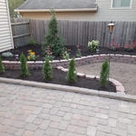 Backyard Remodel