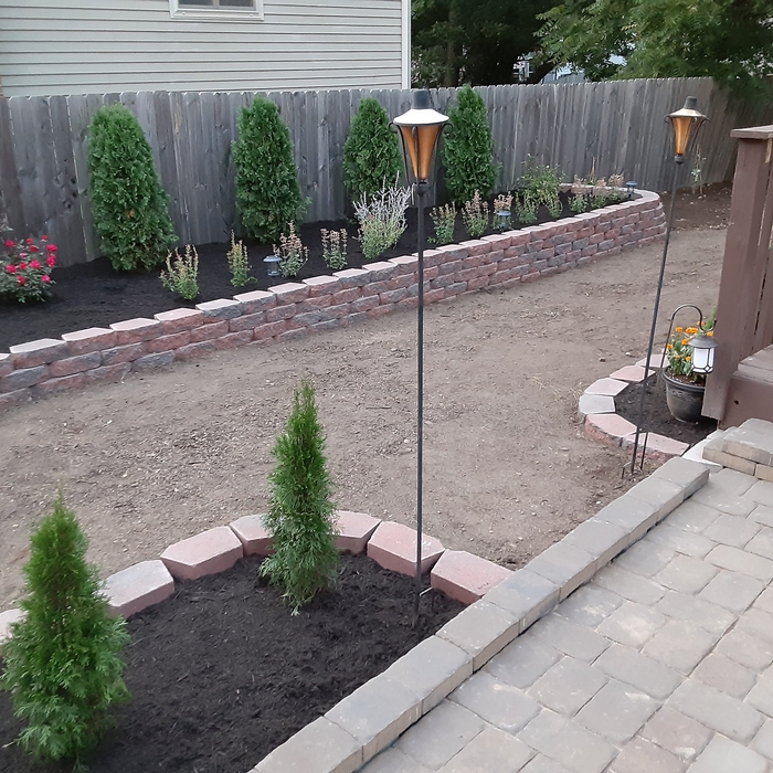 Backyard Remodel