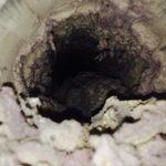 Dryer Vent Cleaning before