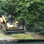 Clearing land