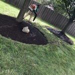 Mulching
