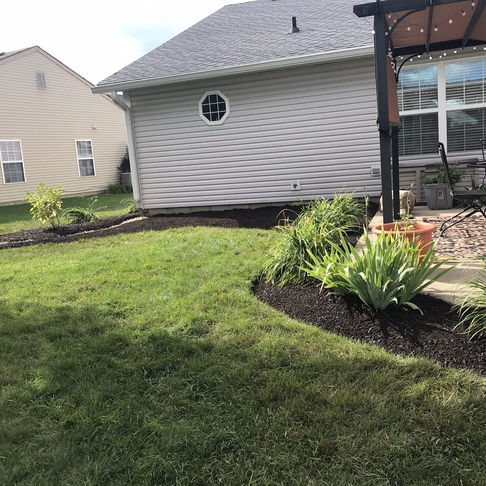 Clean Up with Mulching