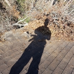 Roof Damage