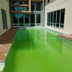 Algae Treatment