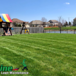 Spring Cuts