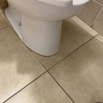 Floor and bottom exterior of toilets