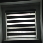 Banded Roller / Zebra Shade