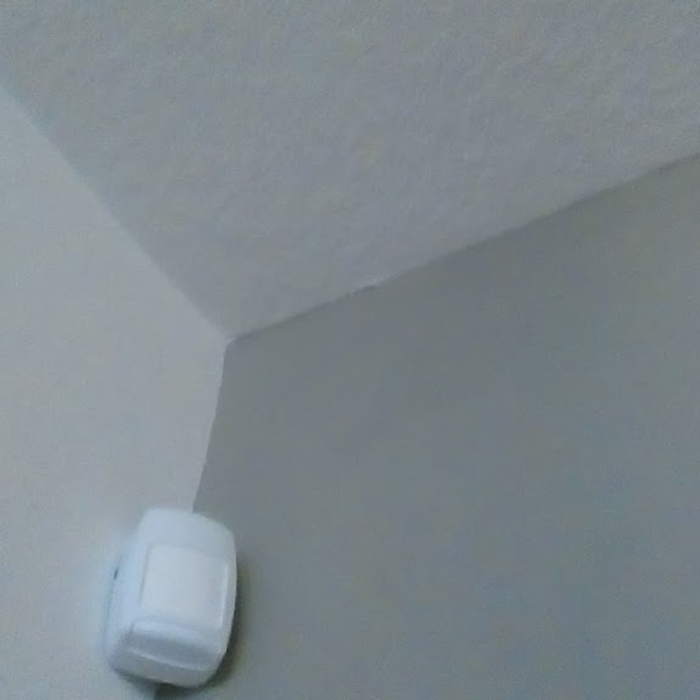 house painting