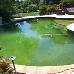 Drain and Clean