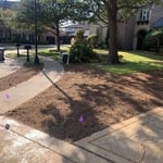 Sod installation