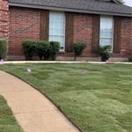 Sod installation