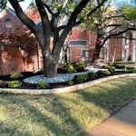 Landscape renovation