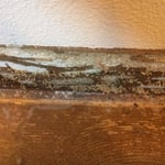 Termites