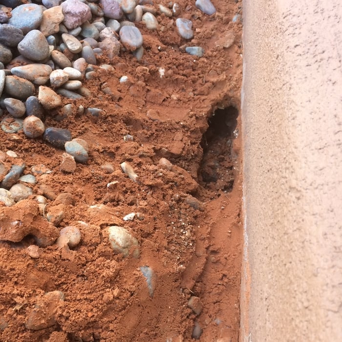 Mouse hole