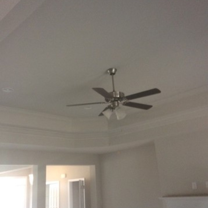 Ceiling fan