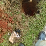 one of the heads i had to dig up