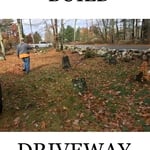 Taking Down The Trees
