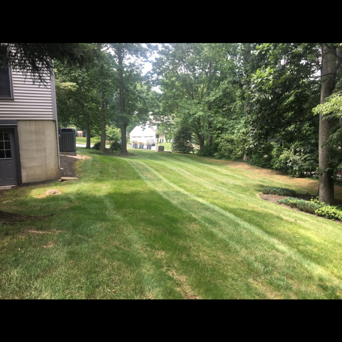Lawn Care