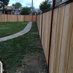 fence