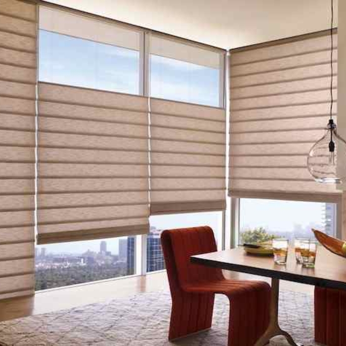 Hunter Douglas Vignette's