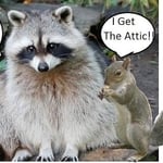 Aces Wildlife