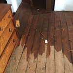 Saturated wood flooring