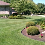 Beautiful Lawn and Landscaping