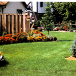 Local Lawn