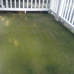 Deck 1
