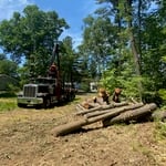 Log Pickups