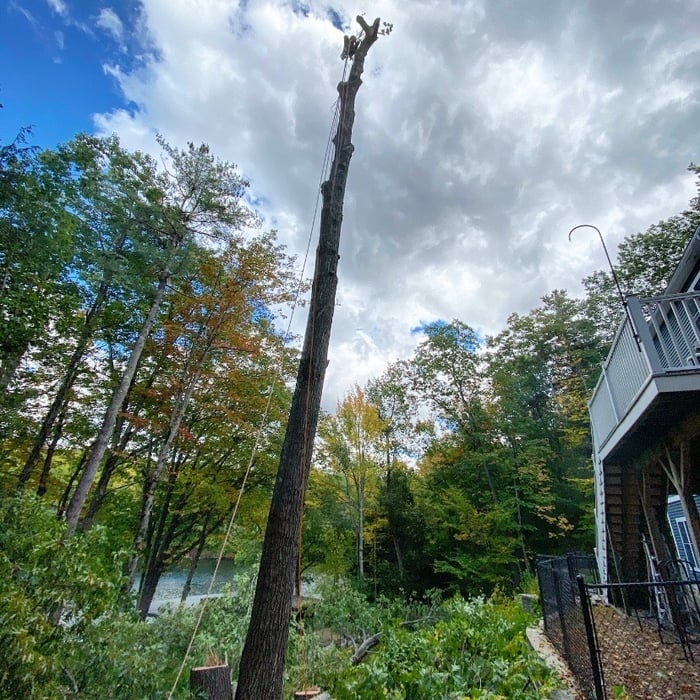 Red Oak house clearence