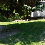 New Landscaping
