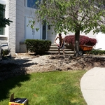 New Landscaping