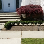 New Landscaping