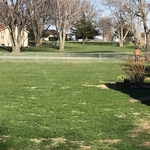 Chain link Installed